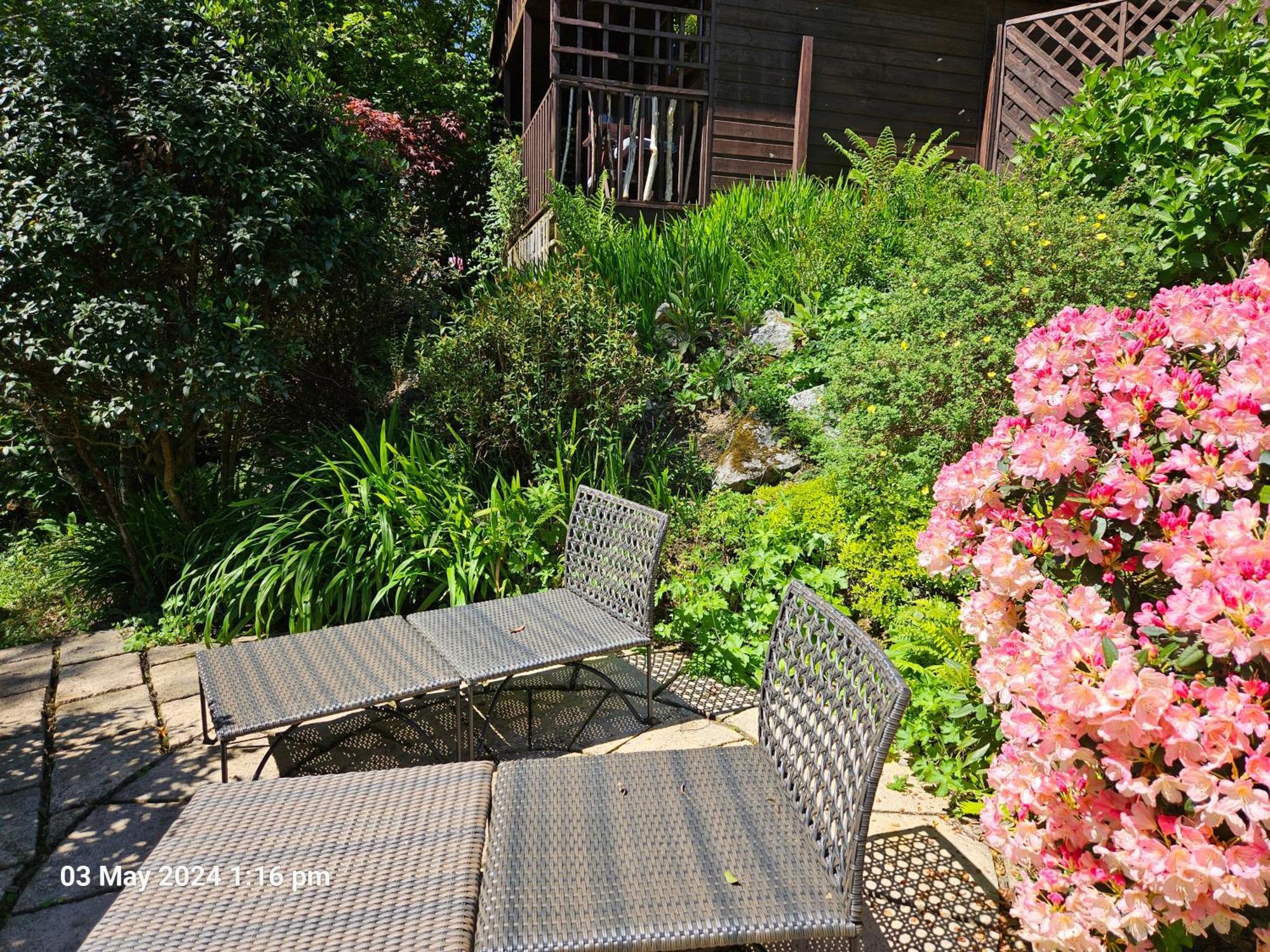 Treetops Lodge, Private Parking & Garden Truro Exterior foto