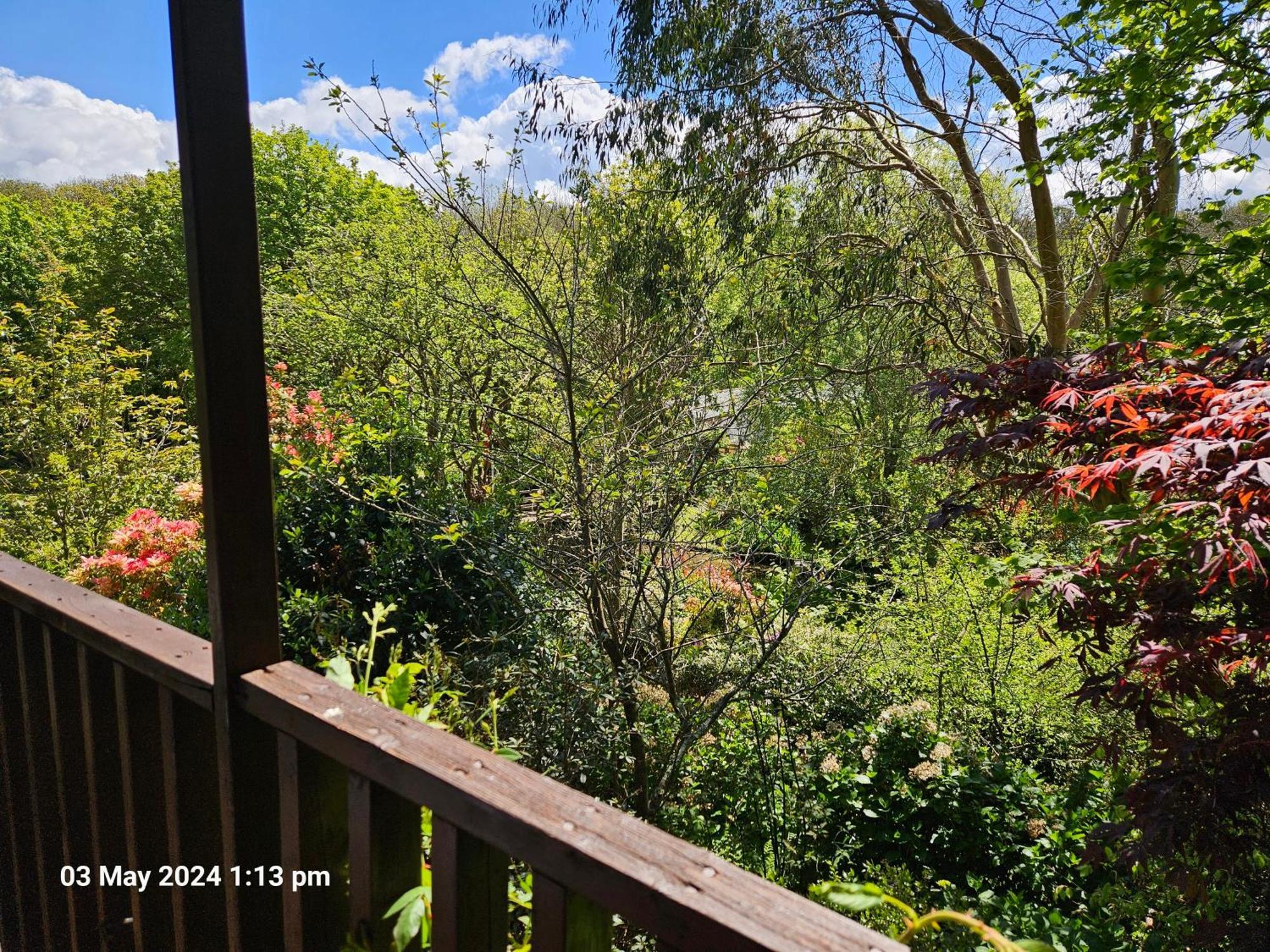 Treetops Lodge, Private Parking & Garden Truro Exterior foto